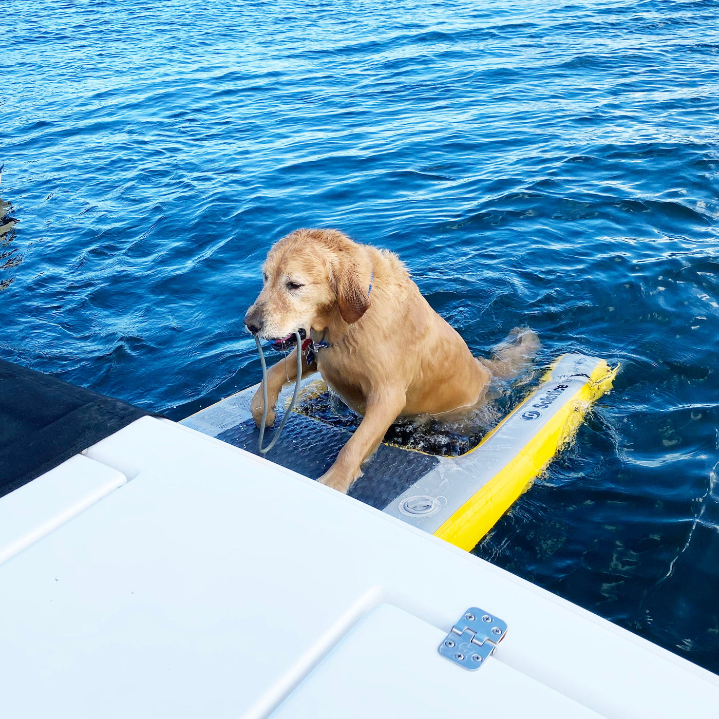 Inflatable Pup Planks | Dog Ramps for Boats, Docks & Pools | Solstice ...
