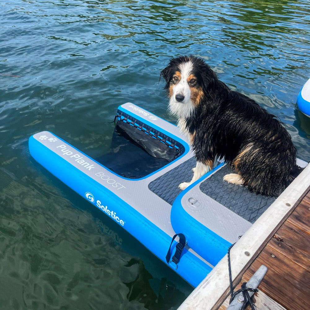 Dog lounging on a floating Solstice Pup Plank