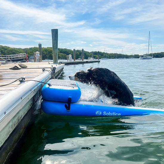 Dog Raft Solstice Inflatable Pup Planks — Dog Ramp for Boat, Dock & Pool | Solstice ...