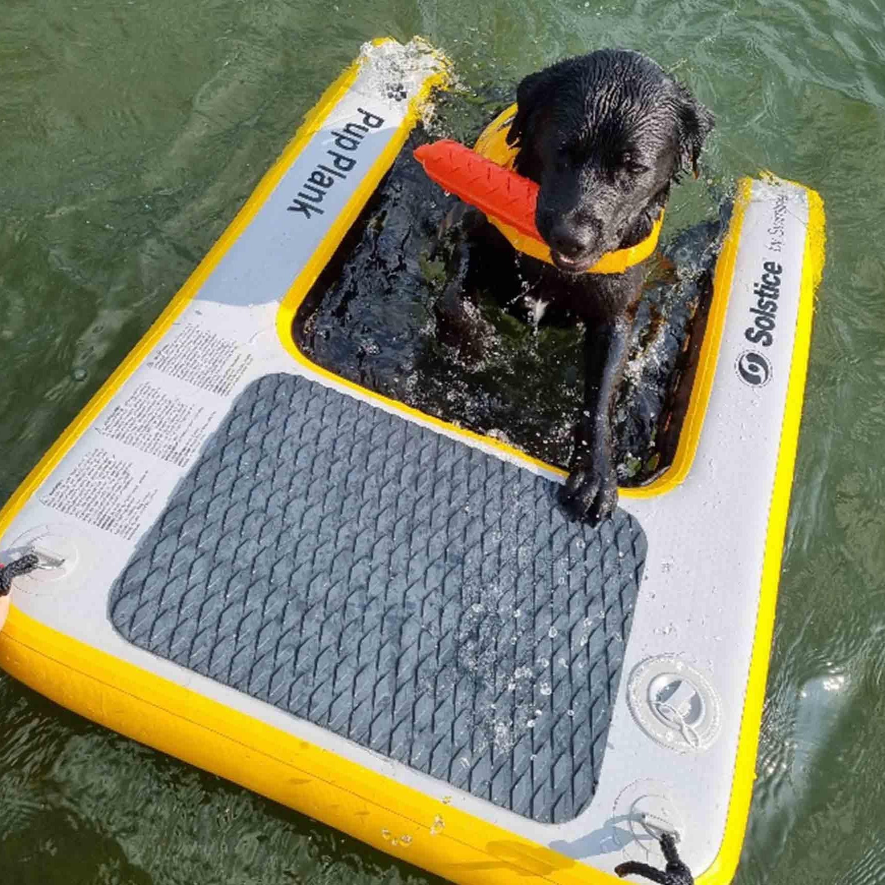 Inflatable Pup Planks - Solstice Watersports