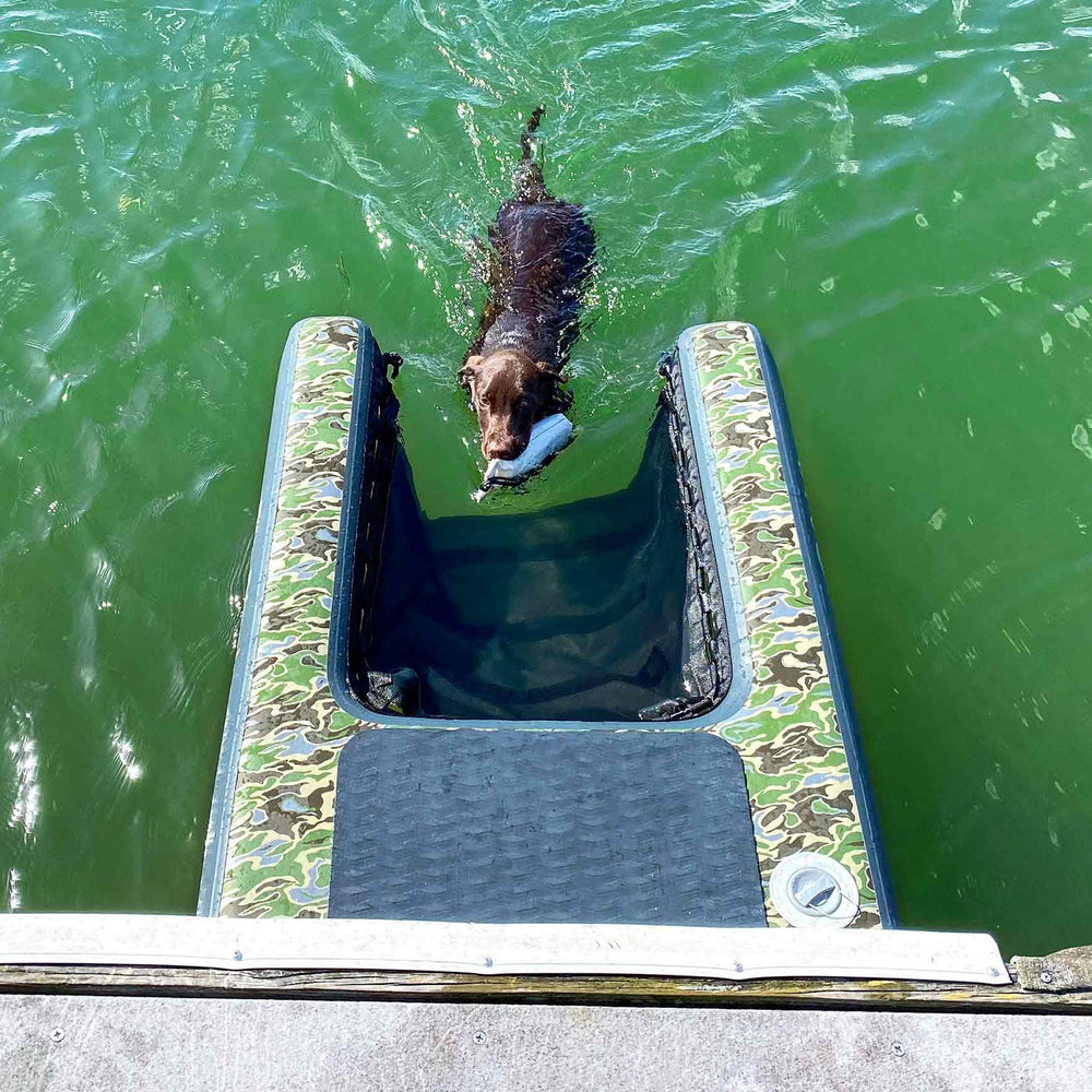 Dog boarding itself from the water onto a Solstice Pup Plank