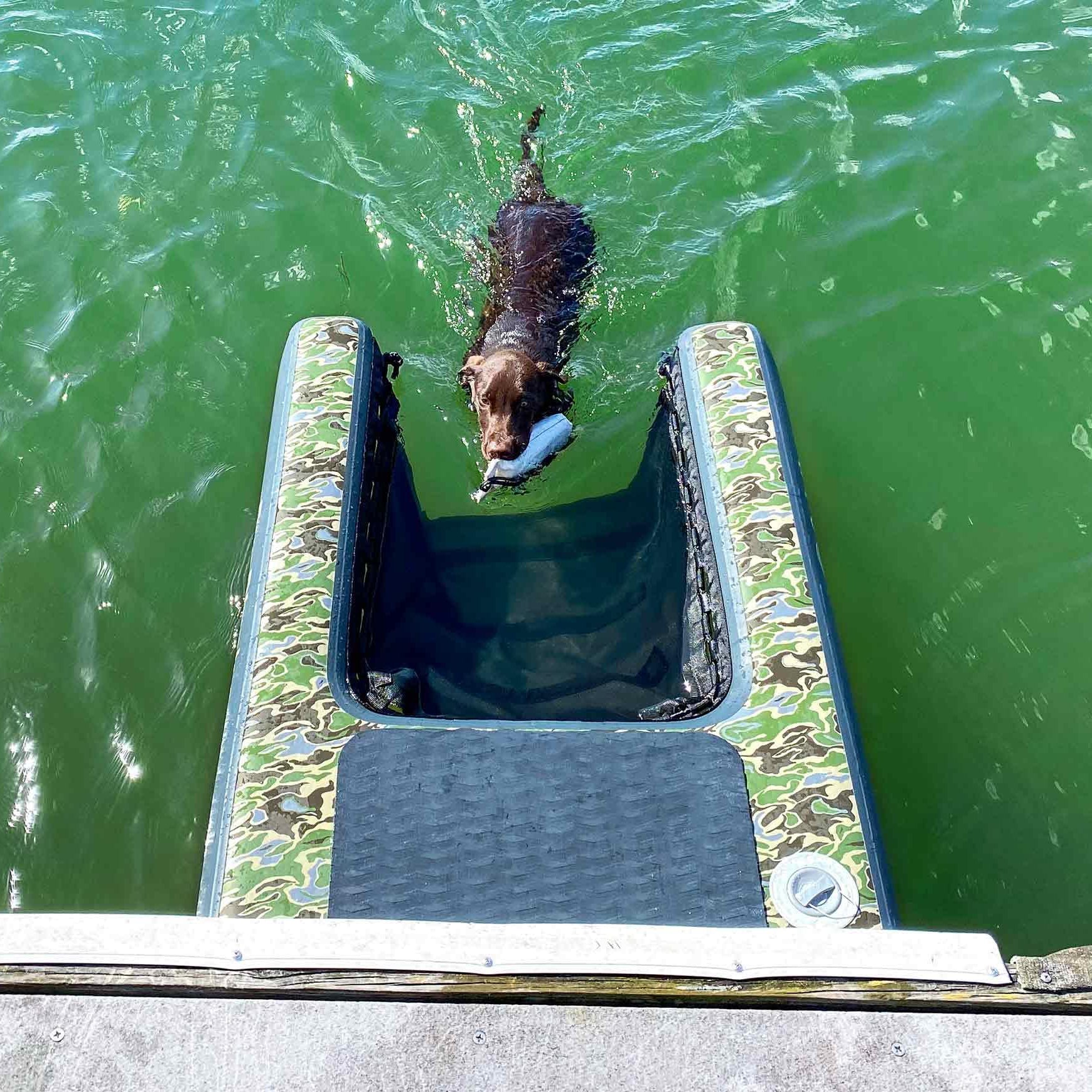 Inflatable Pup Planks - Solstice Watersports